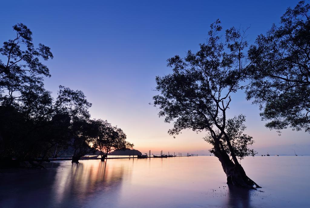 Sunrise Tropical Resort Рейли-Бич Экстерьер фото